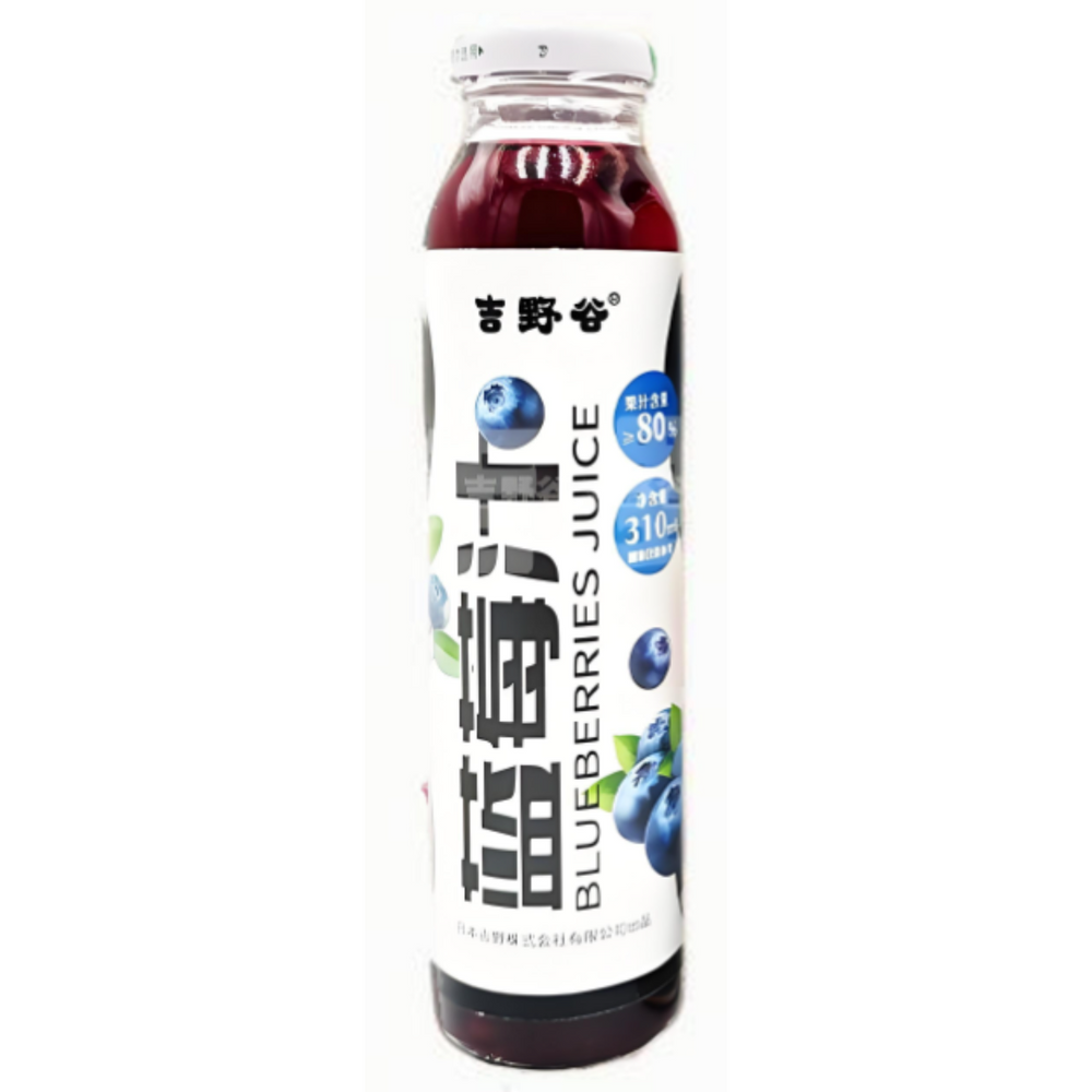 #4106 Bebida Mirtilo 310ml